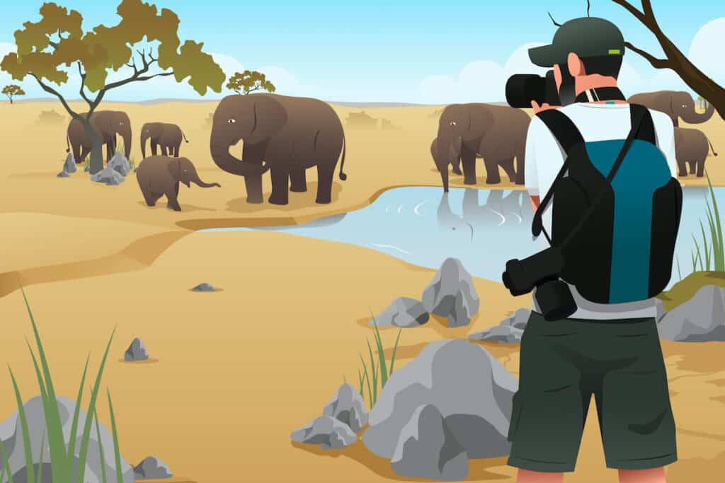 Photographer Taking Pictures of elephants, illustration for packing for Africa @canva