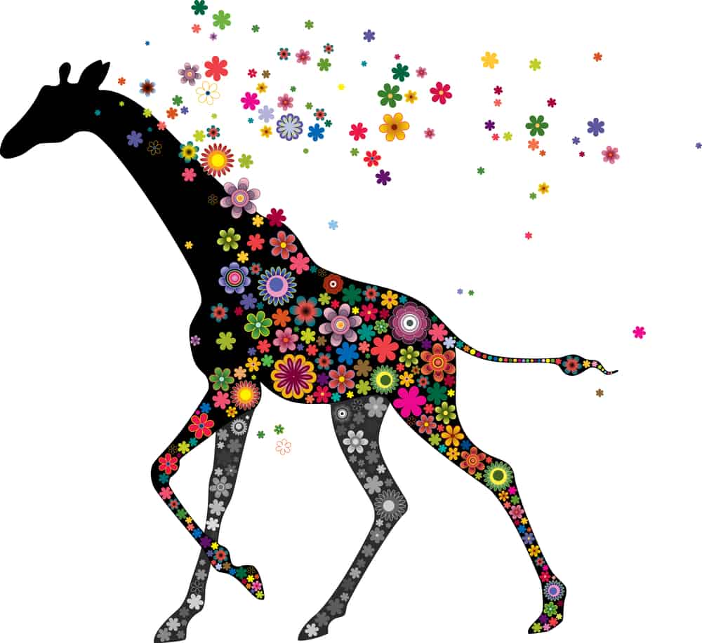 The silhouette of a walking giraffe with coloured flowers on the body and rising up from the giraffe. 