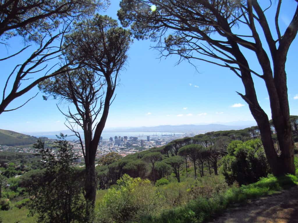 Hiking on Table Mountain