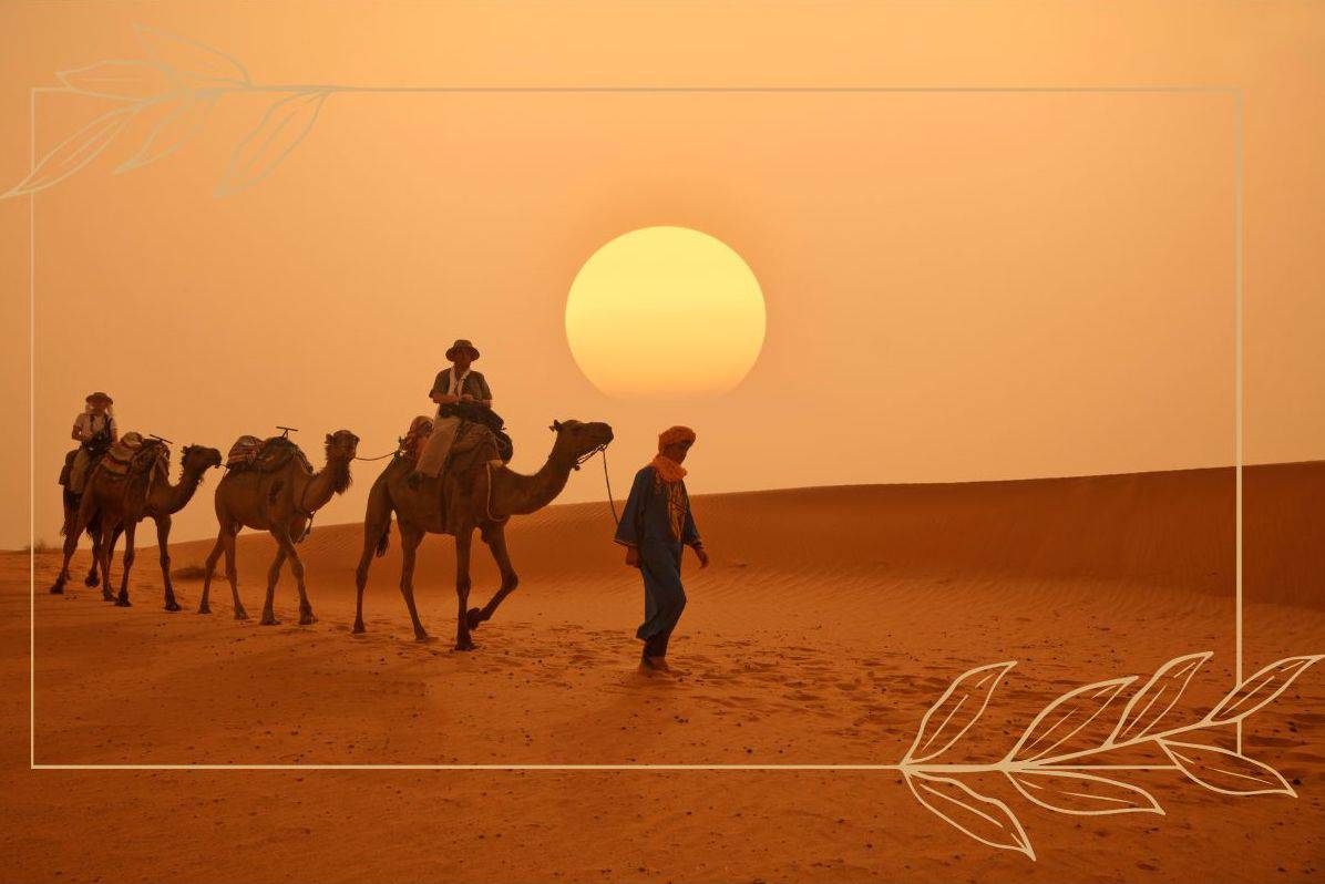 A Moroccan Taureg tribe riding single file on the camels through the desert at sunset, with the big sun low in the sky.