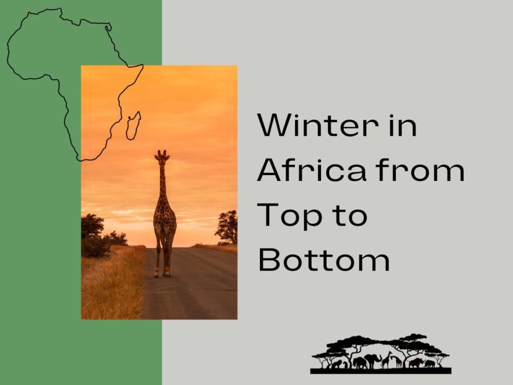 Winter Africa