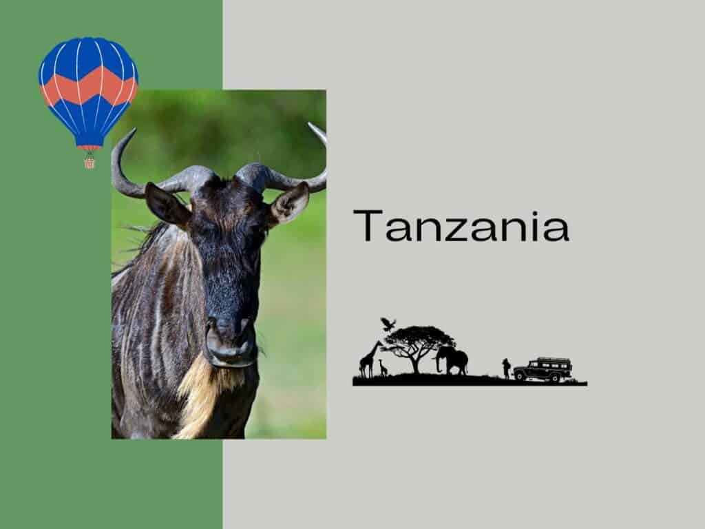 Tanz graphic