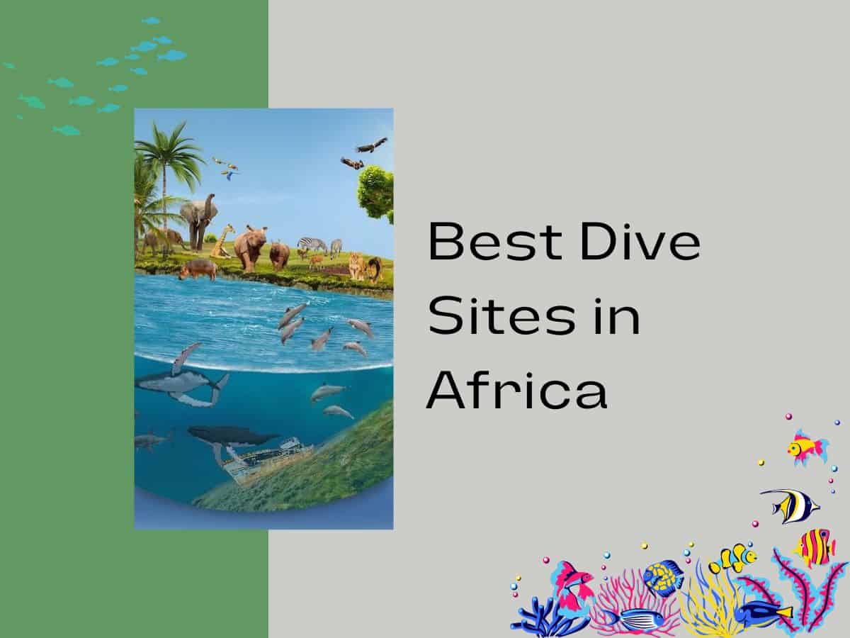 Dive Sites Graphic