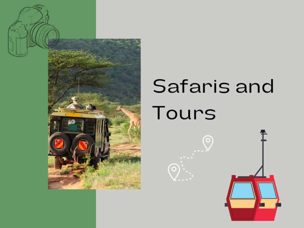 Safaris and tours graphic