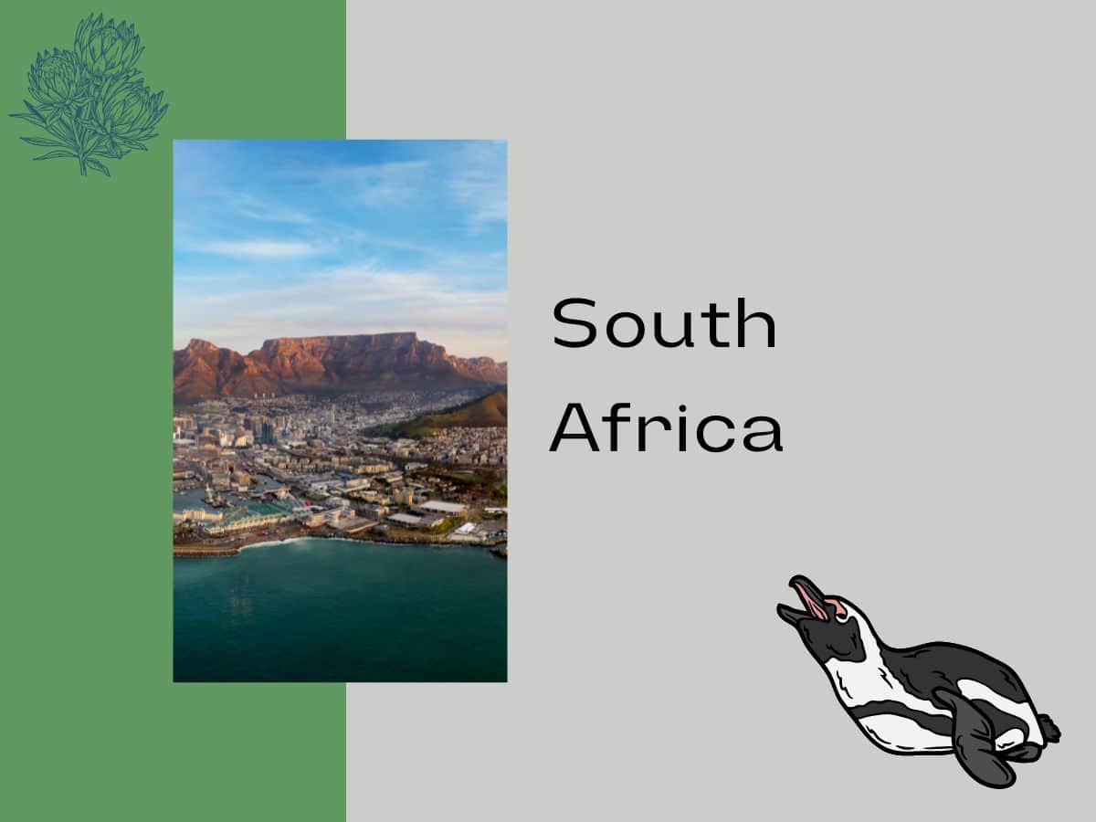 South Africa graphic